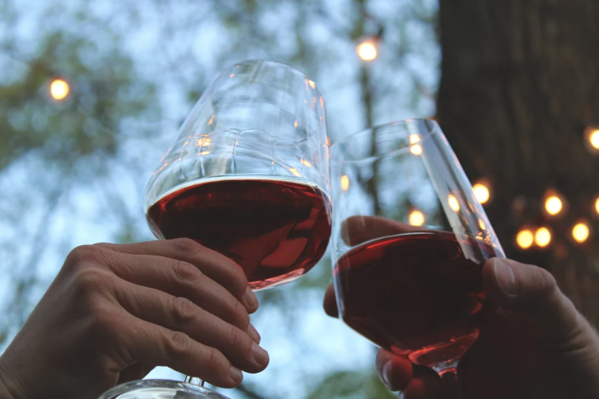 vino dolce rosso piemontese