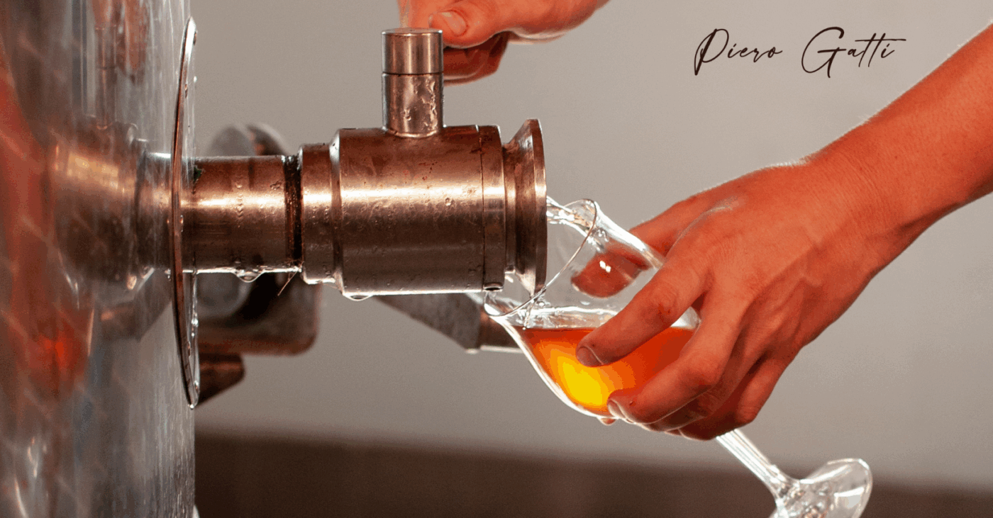 vendemmia moscato e brachetto vini dolci in piemonte azienda agricola piero gatti